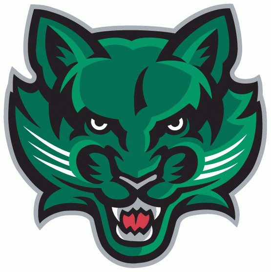 Binghamton Bearcats 2001-Pres Secondary Logo v2 diy fabric transfer